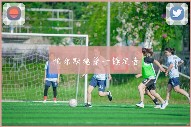帕尔默绝杀一锤定音