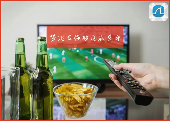 赞比亚强碰厄瓜多尔