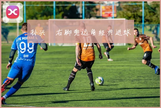 孙兴慜右脚兜远角经典进球