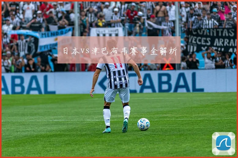 日本vs津巴布韦赛事全解析