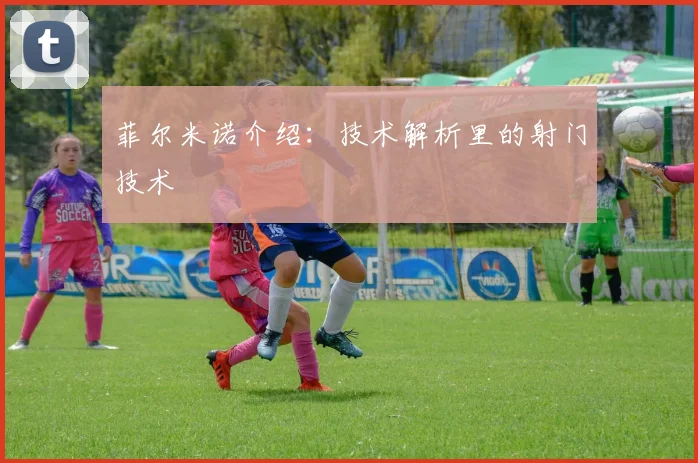 菲尔米诺介绍：技术解析里的射门技术
