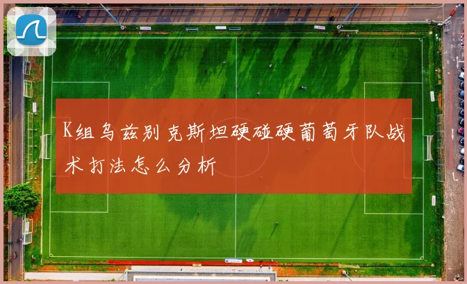 K组乌兹别克斯坦硬碰硬葡萄牙队战术打法怎么分析