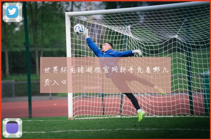 世界杯竞猜游戏官网新手先看哪几页入口